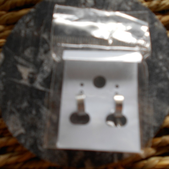 Stainless steel hoop earrings - Picture 4 of 5